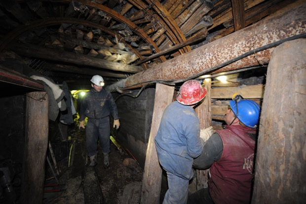 Просек дижу две плате